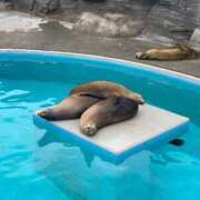 ヒメ日記 2026/02/03 16:29 投稿 みさみさ エデンR