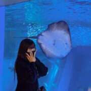 ヒメ日記 2026/03/03 12:29 投稿 みさみさ エデンR