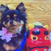 ヒメ日記 2025/11/25 10:29 投稿 ありす エデンR