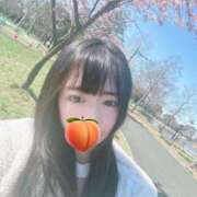 ヒメ日記 2026/03/11 19:39 投稿 ありす エデンR