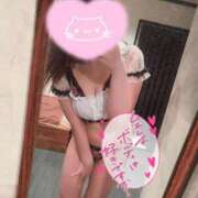 ヒメ日記 2025/06/19 01:22 投稿 るみ プラチナ