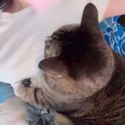 ヒメ日記 2025/08/01 15:02 投稿 るみ プラチナ