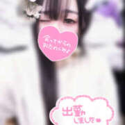 ヒメ日記 2026/02/15 18:00 投稿 るみ プラチナ