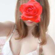 ヒメ日記 2025/07/15 11:19 投稿 綾川 さき 30代40代50代と遊ぶなら博多人妻専科24時