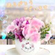 綾川 さき 昨日のお礼です💐 30代40代50代と遊ぶなら博多人妻専科24時