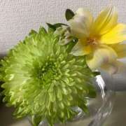 ヒメ日記 2025/06/13 19:36 投稿 赤井　とわこ ギン妻パラダイス 谷九店