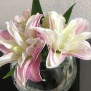 ヒメ日記 2025/06/25 19:18 投稿 赤井　とわこ ギン妻パラダイス 谷九店