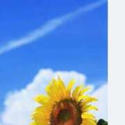 ヒメ日記 2025/06/29 13:15 投稿 赤井　とわこ ギン妻パラダイス 谷九店