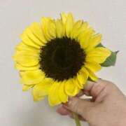 赤井　とわこ こんにちは💖 ギン妻パラダイス 谷九店