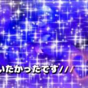 ヒメ日記 2025/07/31 09:24 投稿 ルリ 煌-kirameki-