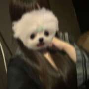 ヒメ日記 2025/08/01 15:51 投稿 りせ チョコメロ