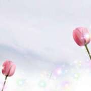 ヒメ日記 2025/06/08 11:03 投稿 かなこ 熟女の風俗最終章　越谷店