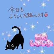 ヒメ日記 2025/06/12 09:28 投稿 かなこ 熟女の風俗最終章　越谷店