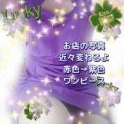 ヒメ日記 2025/06/18 07:49 投稿 かなこ 熟女の風俗最終章　越谷店