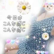 ヒメ日記 2025/08/08 09:42 投稿 かなこ 熟女の風俗最終章　越谷店