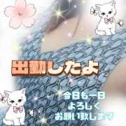 ヒメ日記 2025/08/08 10:14 投稿 かなこ 熟女の風俗最終章　越谷店