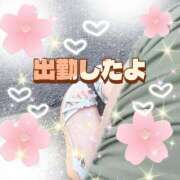 ヒメ日記 2025/08/14 18:39 投稿 かなこ 熟女の風俗最終章　越谷店