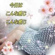 ヒメ日記 2025/08/15 09:03 投稿 かなこ 熟女の風俗最終章　越谷店