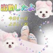 ヒメ日記 2025/08/20 18:42 投稿 かなこ 熟女の風俗最終章　越谷店