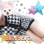 ヒメ日記 2025/09/29 12:01 投稿 かなこ 熟女の風俗最終章　越谷店