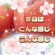 ヒメ日記 2025/10/29 20:42 投稿 かなこ 熟女の風俗最終章　越谷店