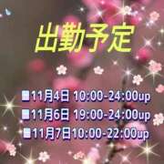 ヒメ日記 2025/11/03 21:02 投稿 かなこ 熟女の風俗最終章　越谷店