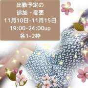 ヒメ日記 2025/11/10 00:27 投稿 かなこ 熟女の風俗最終章　越谷店
