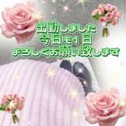 ヒメ日記 2025/11/11 14:19 投稿 かなこ 熟女の風俗最終章　越谷店