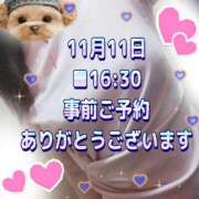 ヒメ日記 2025/11/11 16:02 投稿 かなこ 熟女の風俗最終章　越谷店