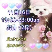ヒメ日記 2025/11/15 23:32 投稿 かなこ 熟女の風俗最終章　越谷店