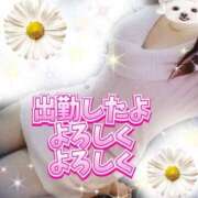 ヒメ日記 2025/12/17 10:19 投稿 かなこ 熟女の風俗最終章　越谷店