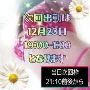 かなこ 次回出勤は12月23日だよ🌸次回枠は21:10前後から 熟女の風俗最終章　越谷店