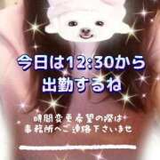 ヒメ日記 2026/02/12 11:32 投稿 かなこ 熟女の風俗最終章　越谷店