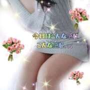 ヒメ日記 2026/02/24 10:02 投稿 かなこ 熟女の風俗最終章　越谷店