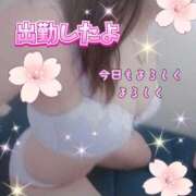 ヒメ日記 2026/03/11 18:50 投稿 かなこ 熟女の風俗最終章　越谷店