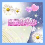 ヒメ日記 2026/05/03 18:50 投稿 かなこ 熟女の風俗最終章　越谷店
