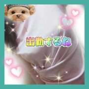 ヒメ日記 2026/05/09 14:00 投稿 かなこ 熟女の風俗最終章　越谷店