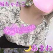 ヒメ日記 2026/04/21 12:15 投稿 あまね 宮崎ちゃんこ都城店