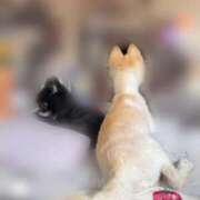 ヒメ日記 2025/12/02 09:42 投稿 みと 熟女の風俗最終章　越谷店