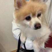 ヒメ日記 2025/12/07 17:33 投稿 みと 熟女の風俗最終章　越谷店