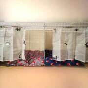 ヒメ日記 2025/12/07 21:13 投稿 みと 熟女の風俗最終章　越谷店