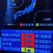 ヒメ日記 2025/12/09 00:02 投稿 みと 熟女の風俗最終章　越谷店