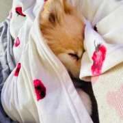 みと 重ね重ねごめんなさい。 熟女の風俗最終章　越谷店