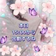 ヒメ日記 2025/06/26 12:42 投稿 かなこ 熟女の風俗最終章 西川口店