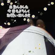 ヒメ日記 2025/06/26 14:28 投稿 かなこ 熟女の風俗最終章 西川口店