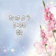 ヒメ日記 2025/07/04 06:42 投稿 かなこ 熟女の風俗最終章 西川口店