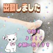 ヒメ日記 2025/08/07 09:30 投稿 かなこ 熟女の風俗最終章 西川口店