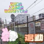 ヒメ日記 2025/08/13 06:04 投稿 かなこ 熟女の風俗最終章 西川口店