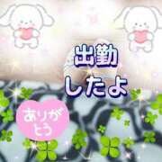 ヒメ日記 2025/08/15 09:42 投稿 かなこ 熟女の風俗最終章 西川口店