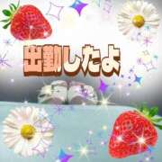 ヒメ日記 2025/08/21 18:42 投稿 かなこ 熟女の風俗最終章 西川口店